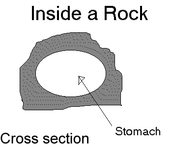 Cross section of the living rock!